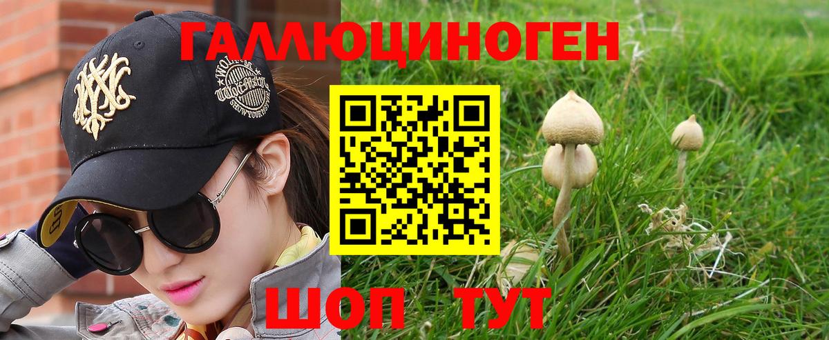 Улан-Удэ  Галлюциногенные грибы GOLDEN TEACHER  купить закладку  Вход с VPN 